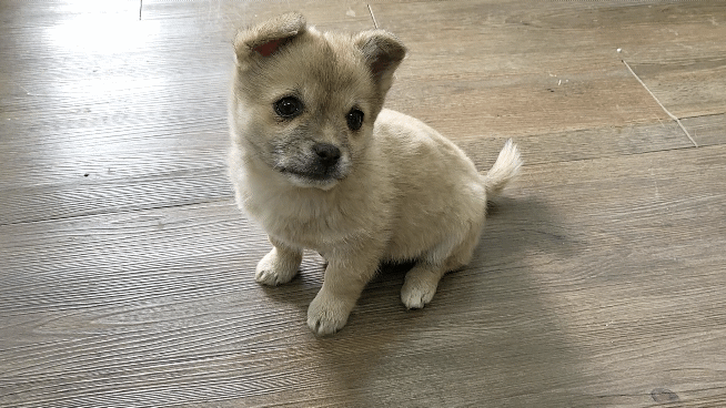 (공지라니... ++추가)새로생긴 회사 복지.. 미쳐서 도저히 일을 못하겠네.. (추가....)++추가 | 인스티즈