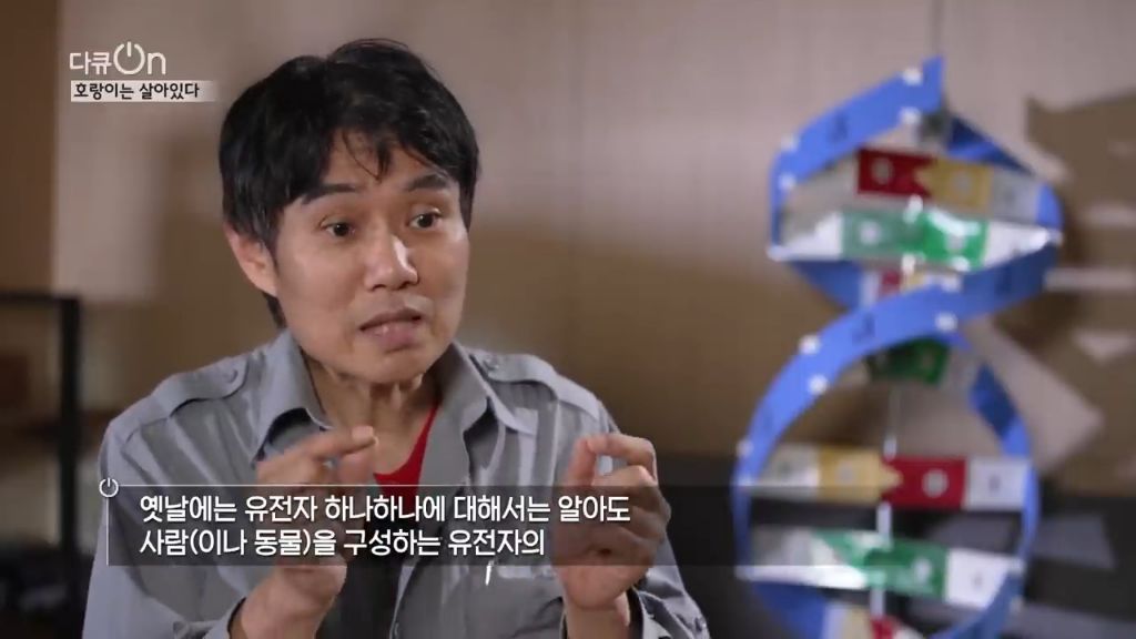 '절멸'의 '한국 호랑이'. 🐅 그 100년간의 이야기. -마지막- | 인스티즈