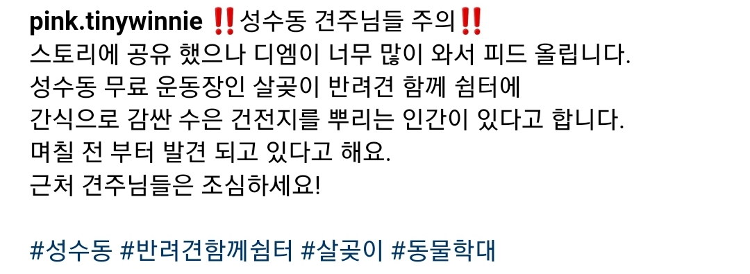 성수동에서 강아지 키우는 여시들 조심해! | 인스티즈