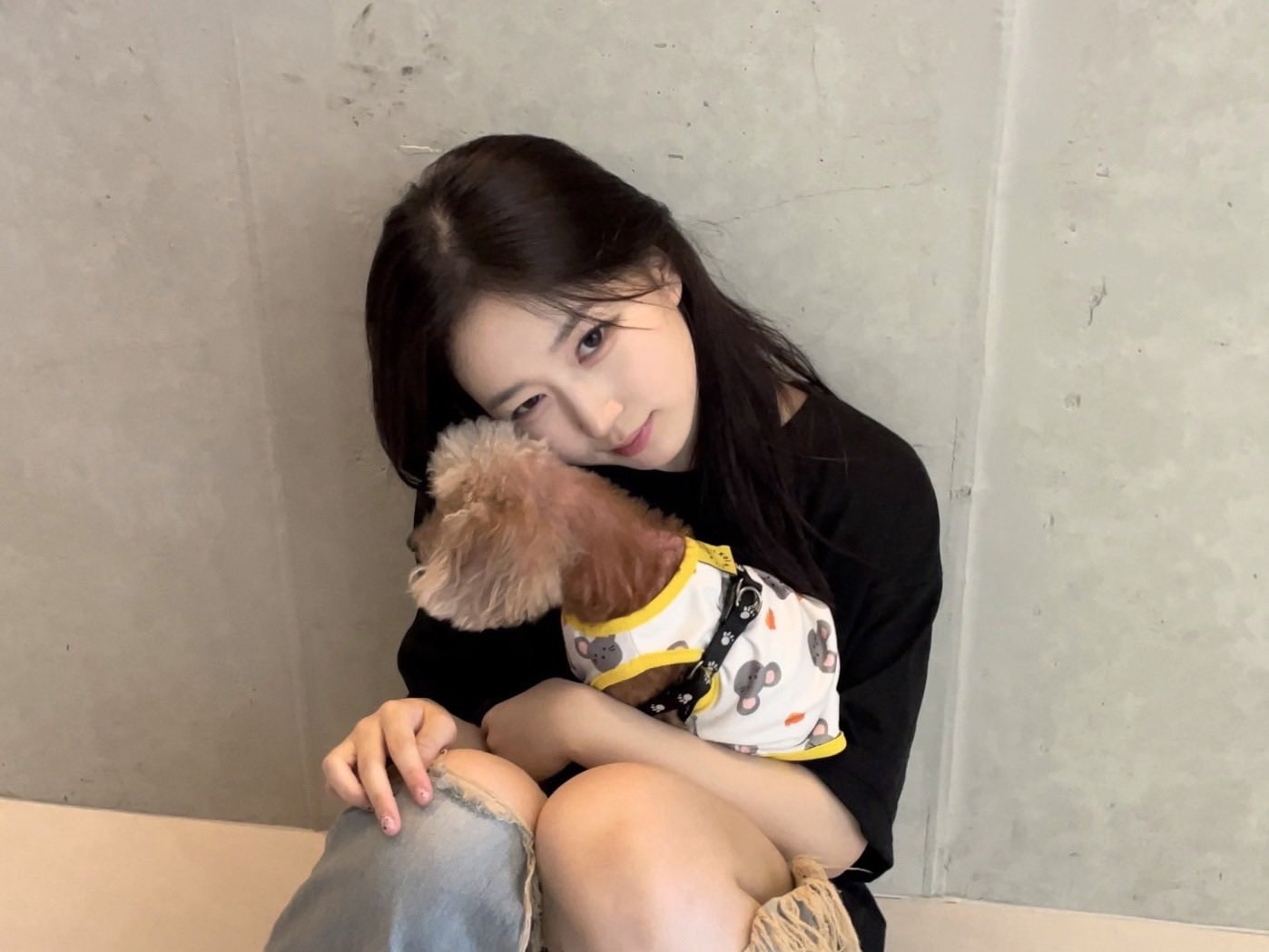 팬싸에서 작년에 무지개다리 건넌 반려견 닮은인형 받은 엔믹스 해원 | 인스티즈