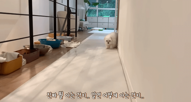 새로 이사온 주택에 물이 새요.jpg | 인스티즈