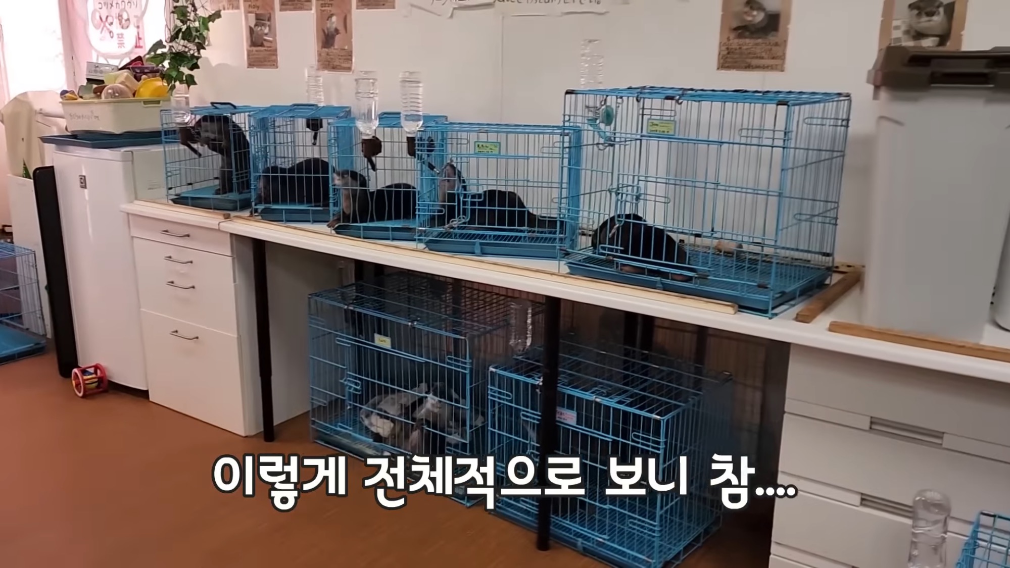 카페다름 이미지