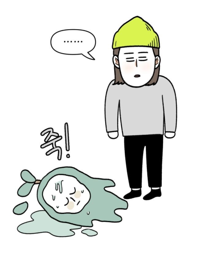 다육이 키우는 초보자들이 제일 많이 하는 실수 | 인스티즈