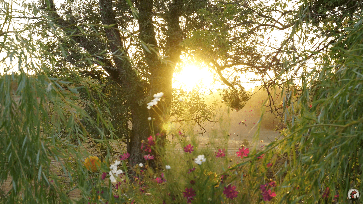 요즘 유튜브에서 은근히 인기 많다는 외국 시골 브이로그...jpg | 인스티즈