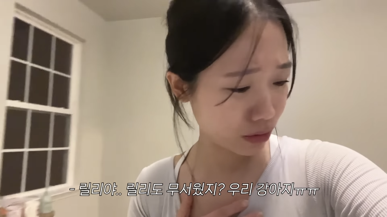 미국 이민갔는데 집에서 곰 나옴… | 인스티즈