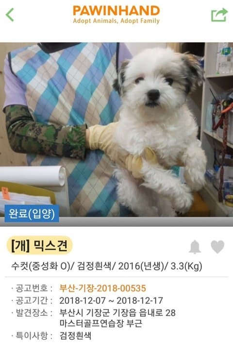 유기견 입양 전후 | 인스티즈