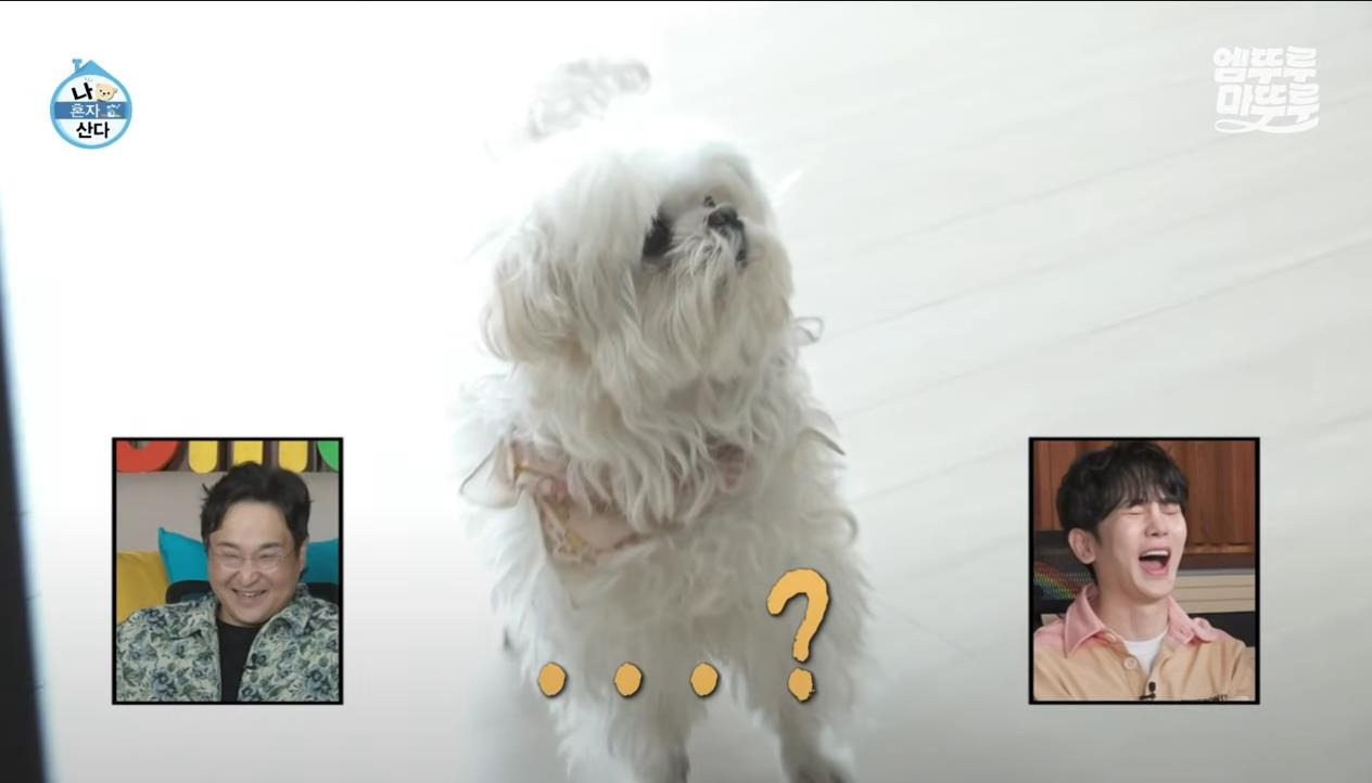 [나혼자산다] 정말 행복해 보이고, 낭만 미친 거 같은 구성환의 부산 한 달 살기 | 인스티즈