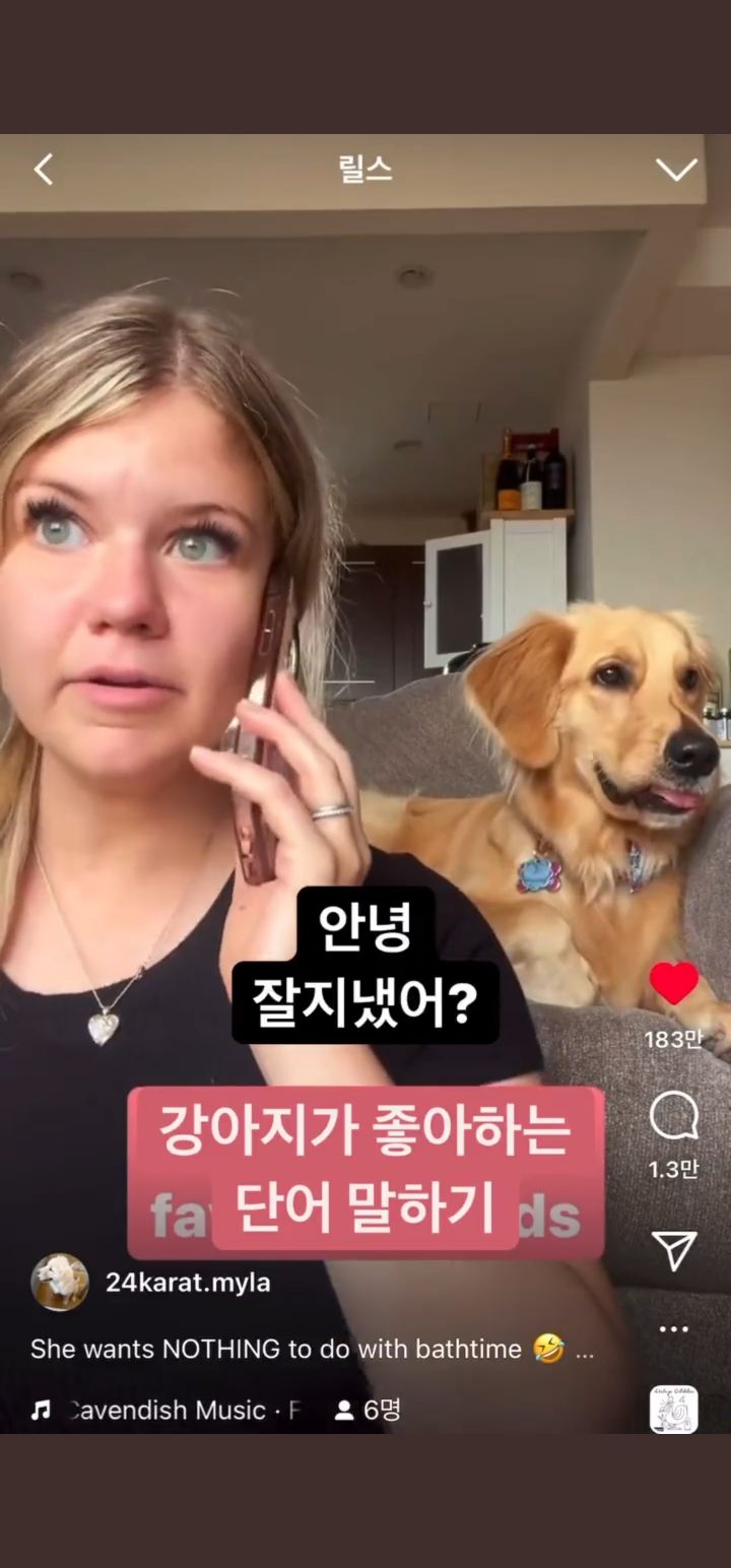 강아지가 좋아하는 단어 말하기 | 인스티즈