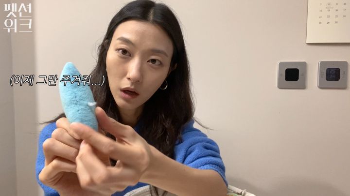 집사들 고양이 장난감 왤케 많이 사는거야 | 인스티즈