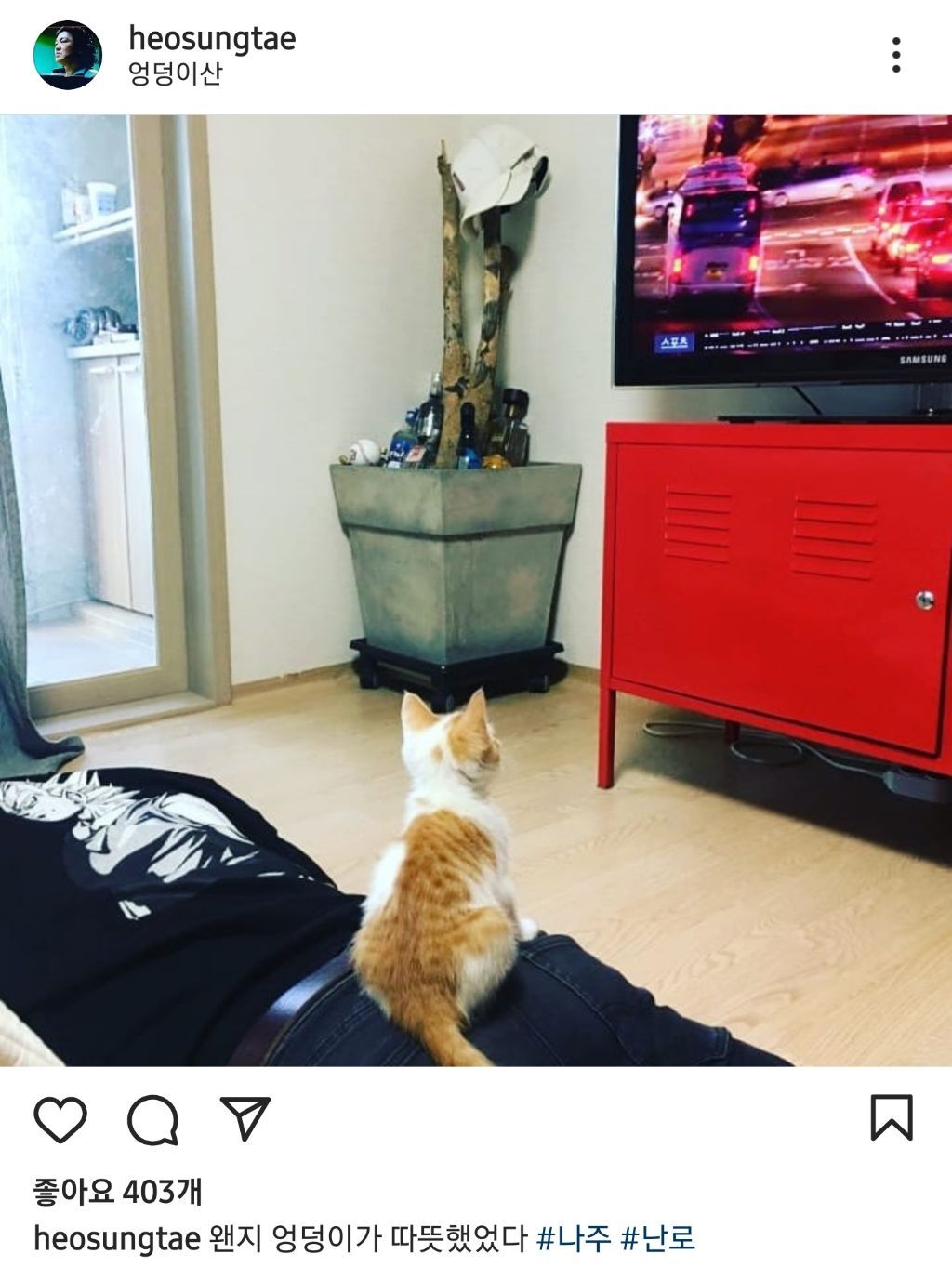 배우 허성태네 고양이들 | 인스티즈