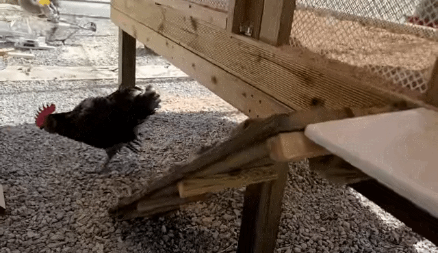 매맞는 삶을 살고있는 매탈남 근황 | 인스티즈