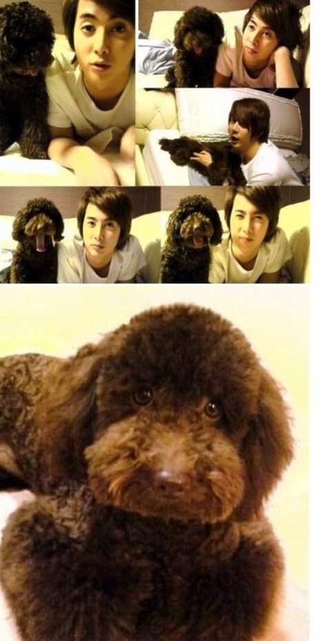 SS501 김형준 개사기 사건 + 현재 | 인스티즈