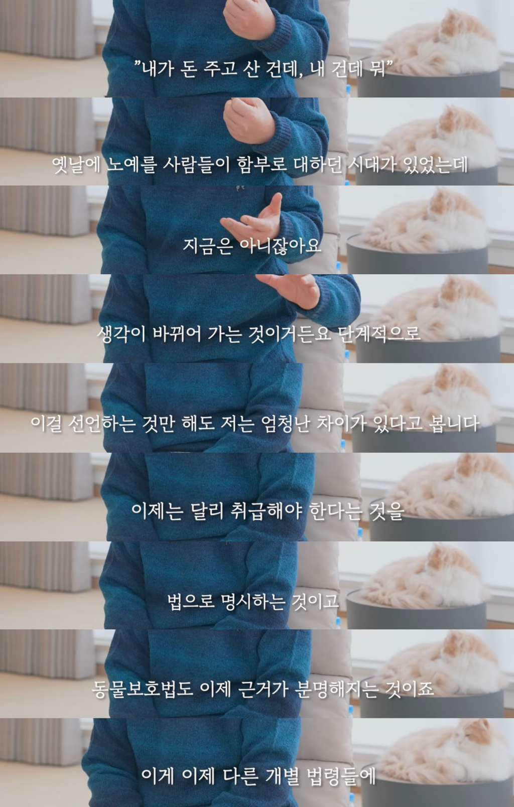 이재명이 생각하는 동물복지정책 | 인스티즈