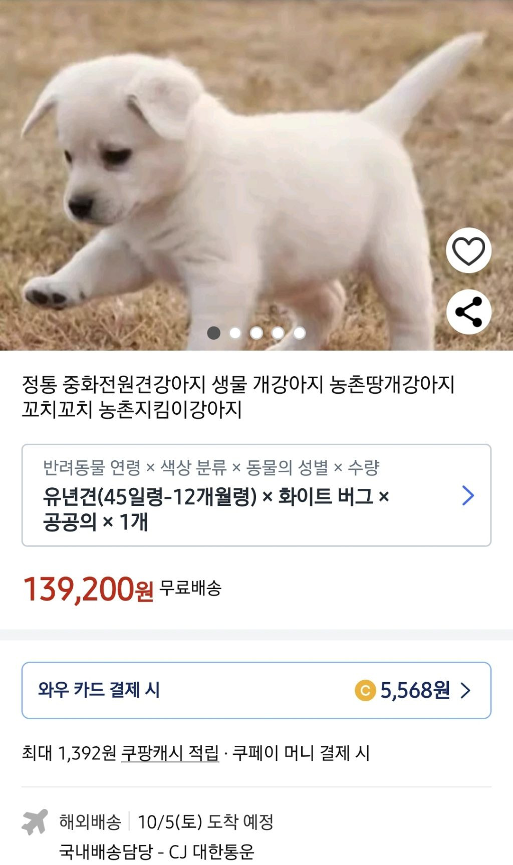 쿠팡에서 판매 중인 강아지 | 인스티즈