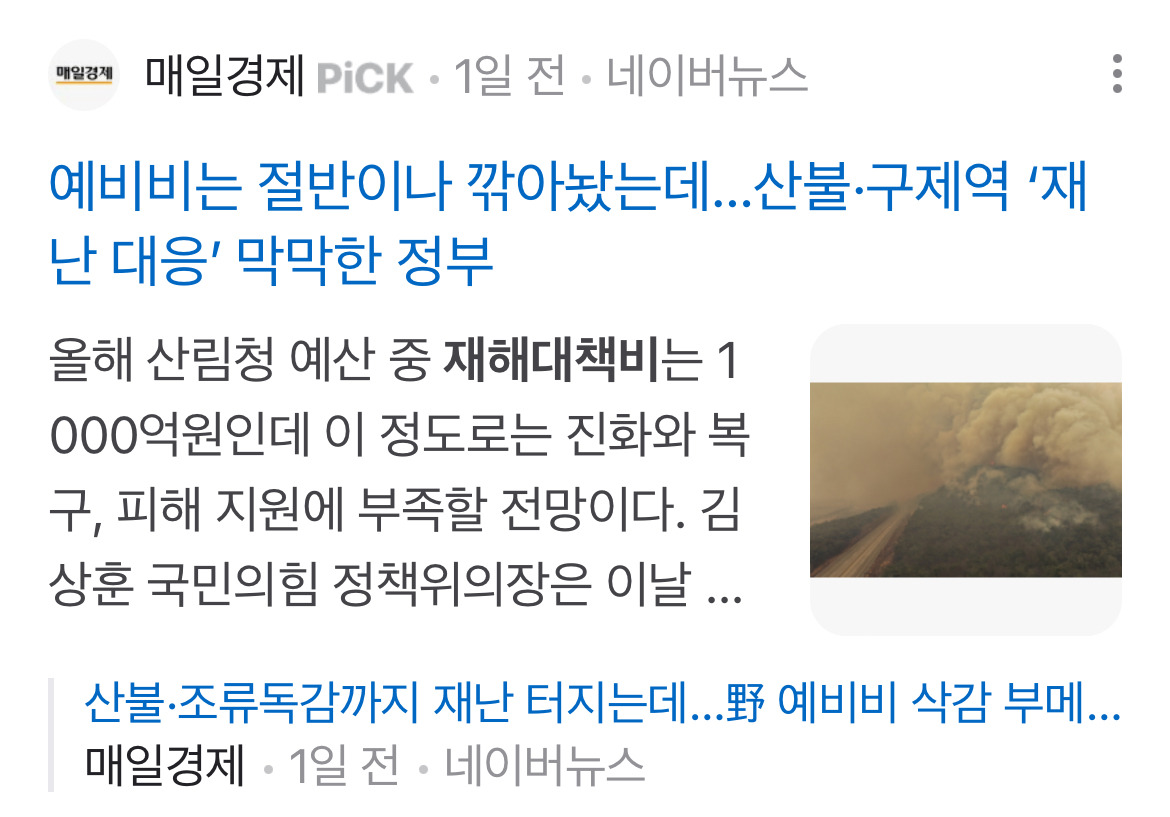 국힘과 언론에서 산불 대응 못하는 게 야당이 예비비 삭감했기 때문이라고 몰고가는 중 | 인스티즈