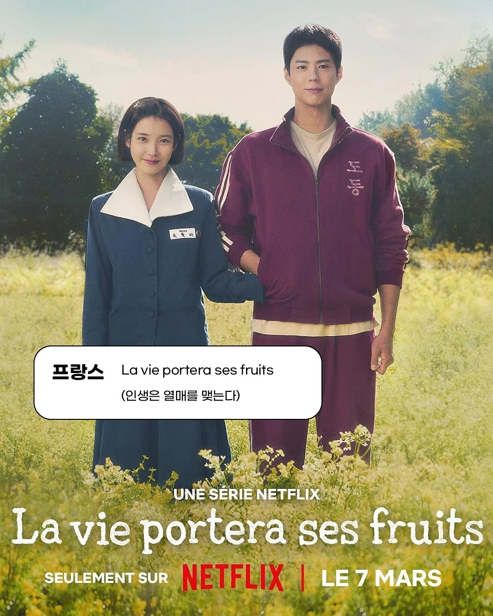넷플릭스폭싹 속았수다해외 제목들 | 인스티즈