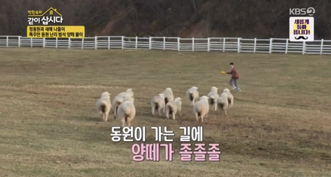 들이라면 무조건 너무너무 공감할 성덕된 74세 대배우의 최애 덕질 모먼트 | 인스티즈