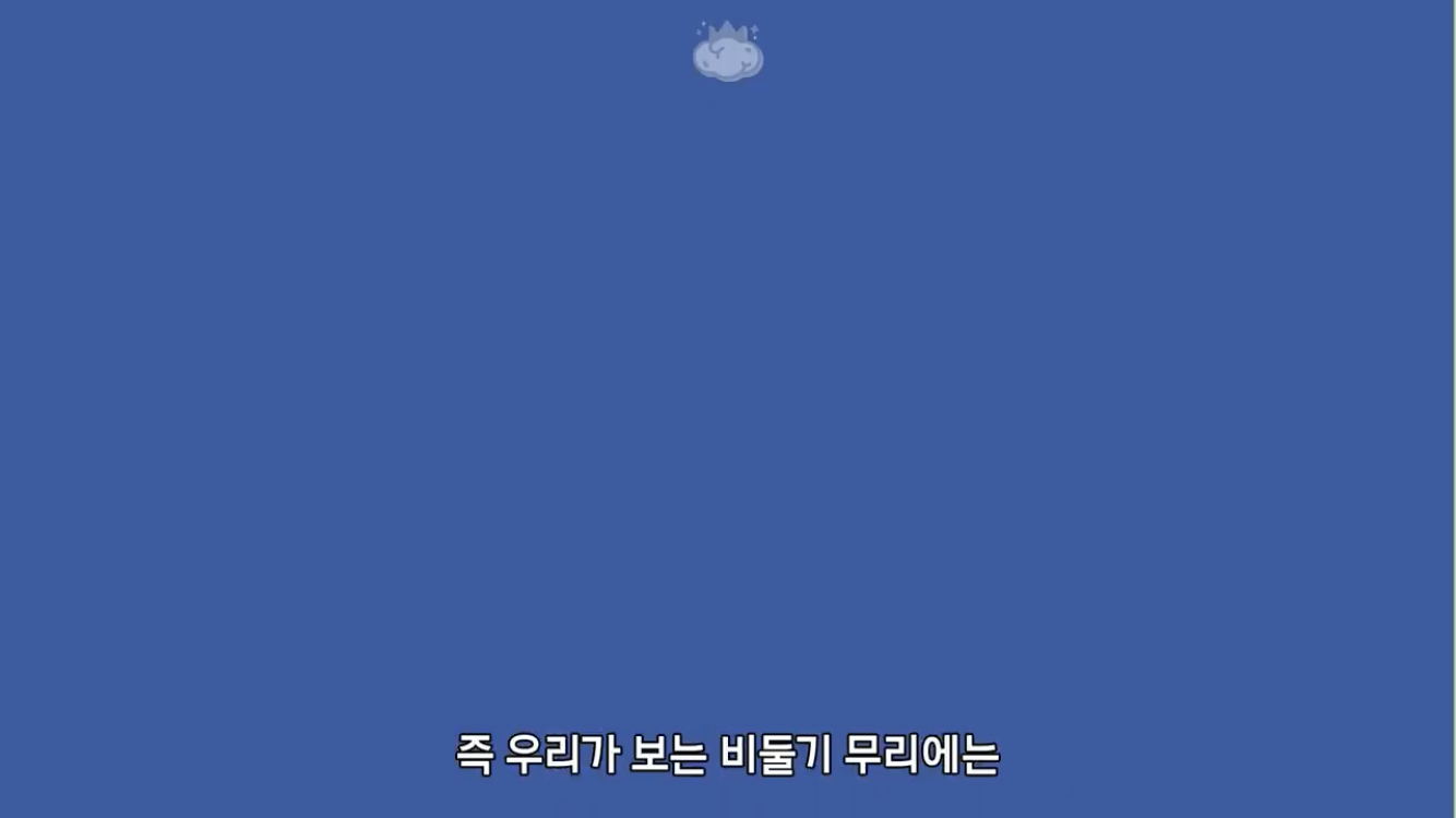 거리에 비둘기가 이렇게 많은데 왜 새끼 비둘기는 안 보일까? | 인스티즈