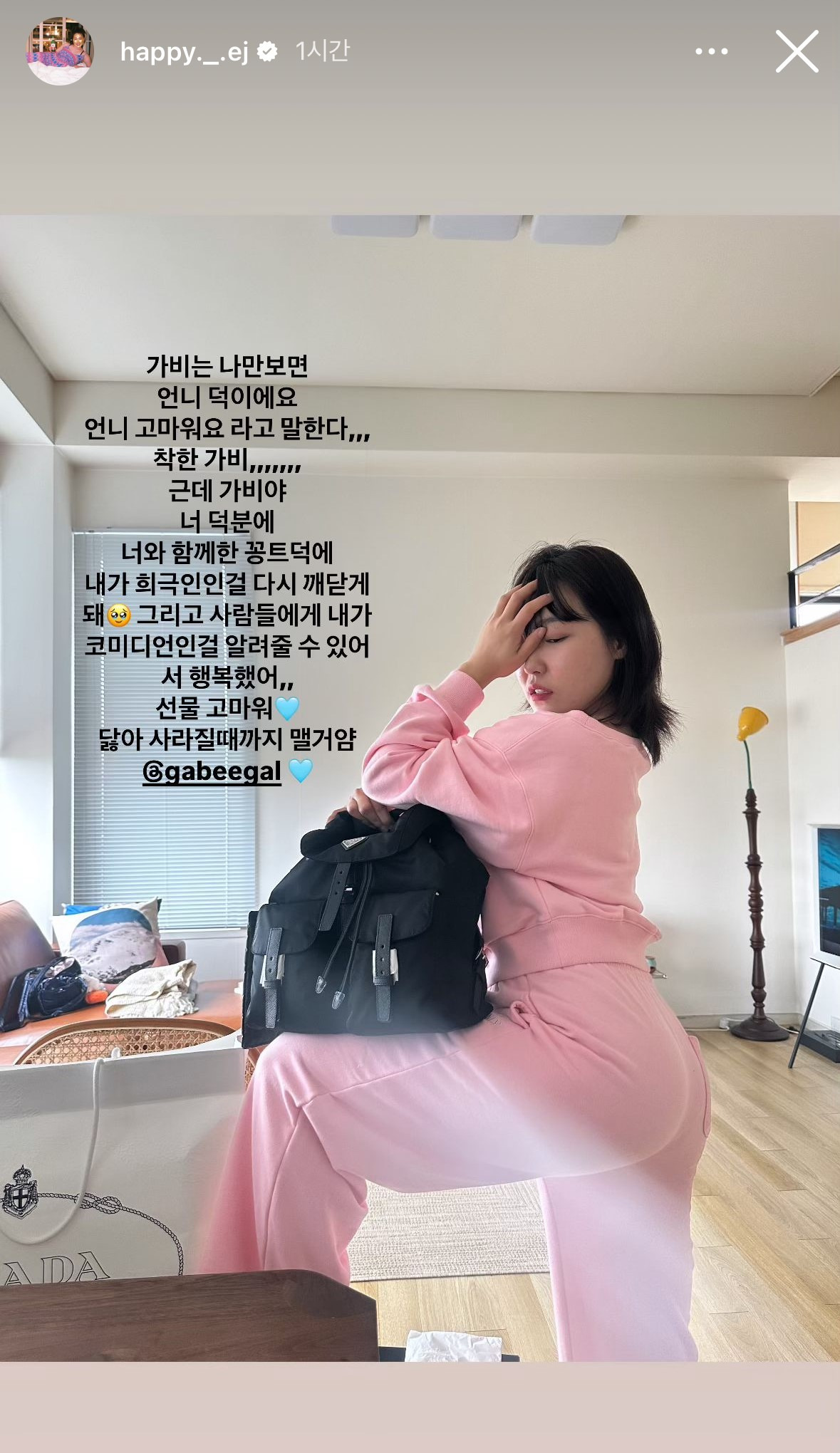 가비 이미지