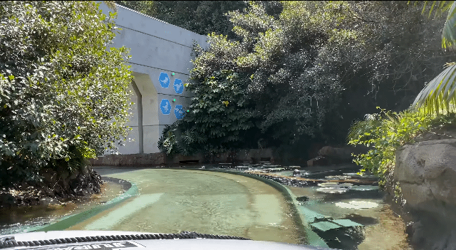 헐리우드 유니버셜 스튜디오 - 쥬라기 월드 더 라이드! .gif | 인스티즈