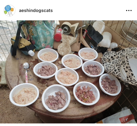 즉석밥 용기 재활용 된다? 안된다? 종결 | 인스티즈