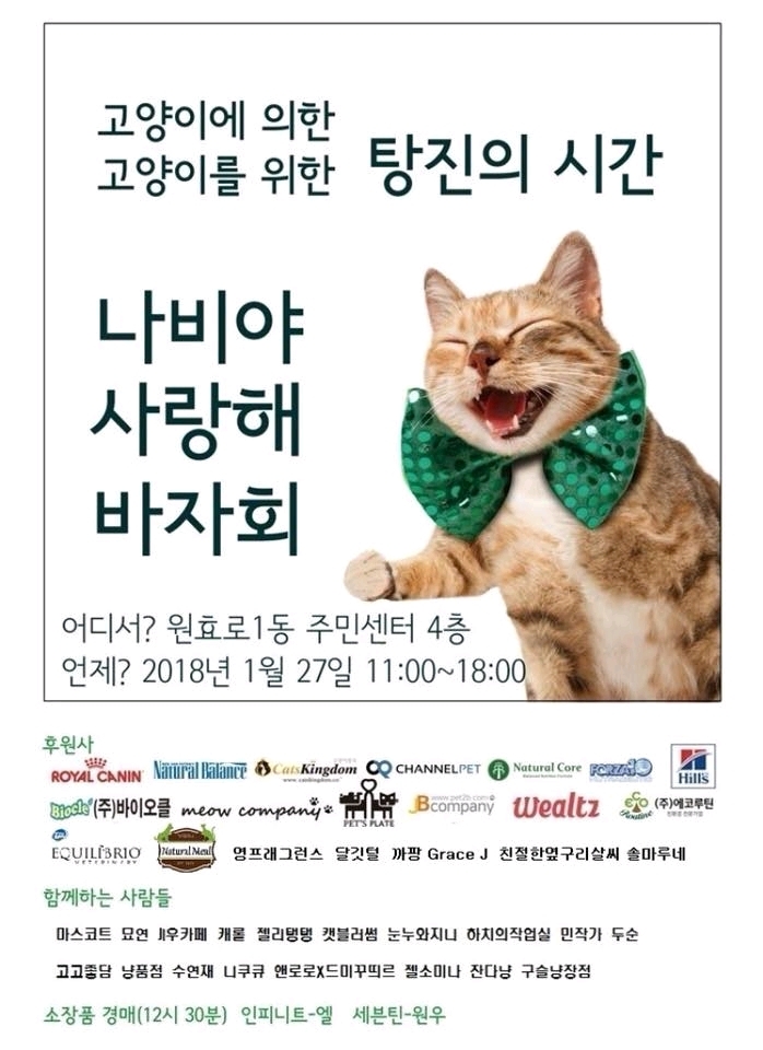 우리나라는 왜 고양이를 "나비야~"라고 부르게 됐을까 | 인스티즈