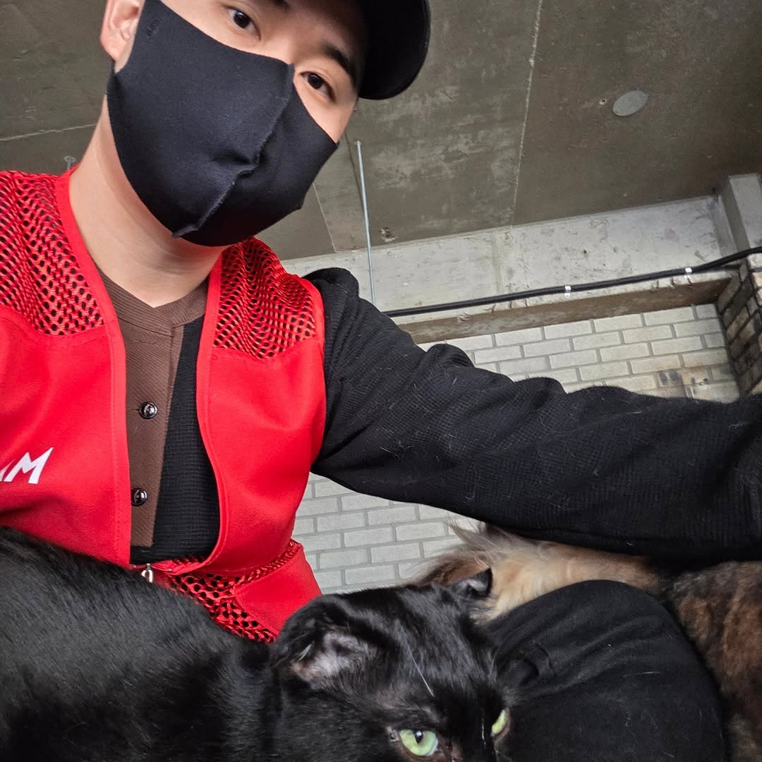 유기묘 보호소에 간식+사료 기부한 나폴리 맛피아 | 인스티즈