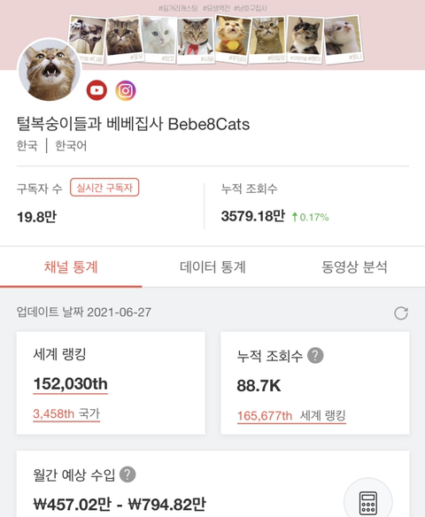 펫샵 소비안하는 고양이 집사들 예상 수입 | 인스티즈