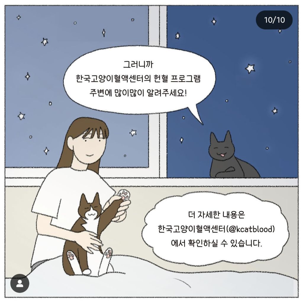 🐱💉고양이도 헌혈을 한다고? | 인스티즈