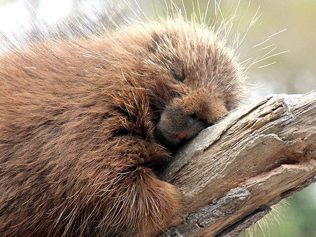 af0bc976ce8cec034c54ecb7b5c8e9715c384699