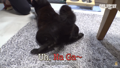 밤낮없이 집 도어락을 누르는 누군가때문에 고민인 부부 | 인스티즈