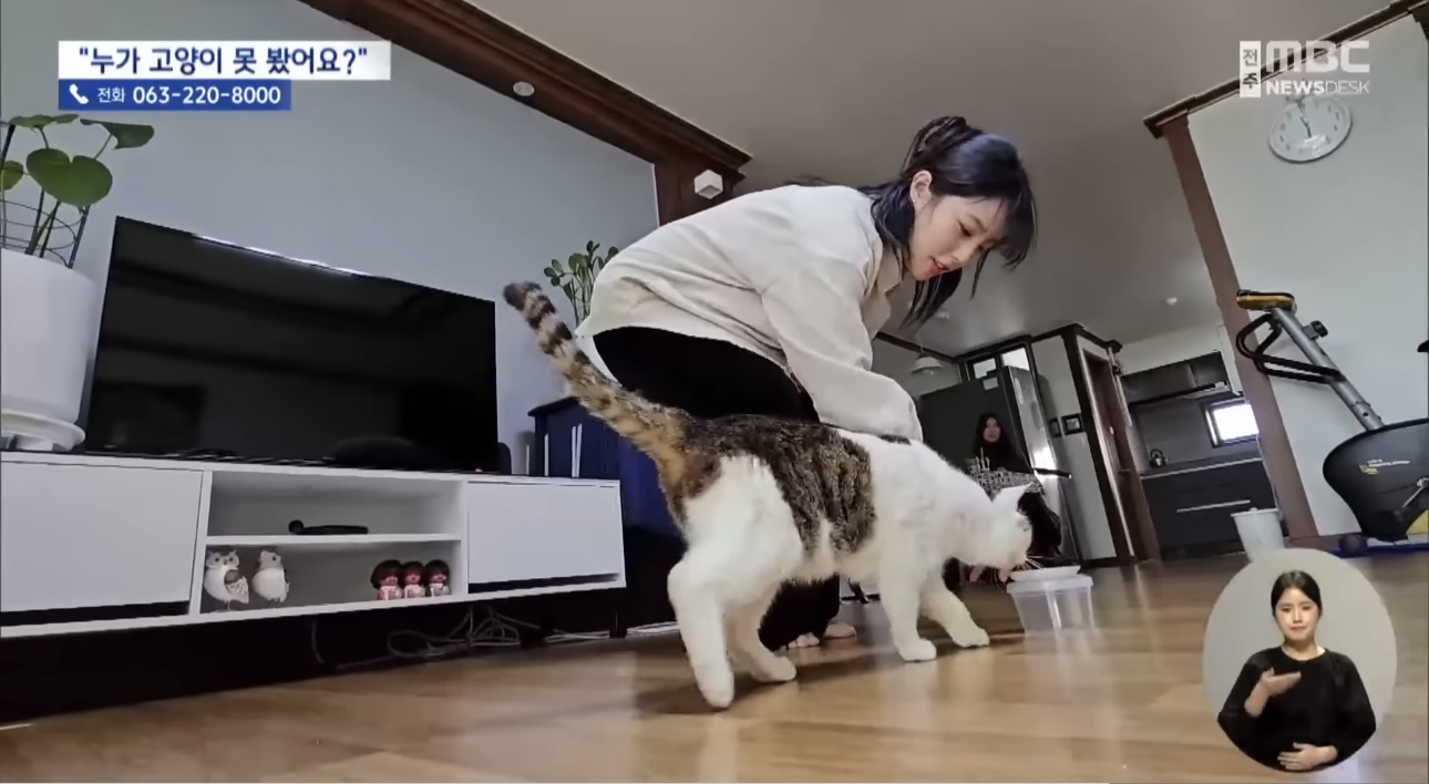 '눈먼 길고양이' 구조작전.. 훈훈한 쪽지 릴레이 | 인스티즈