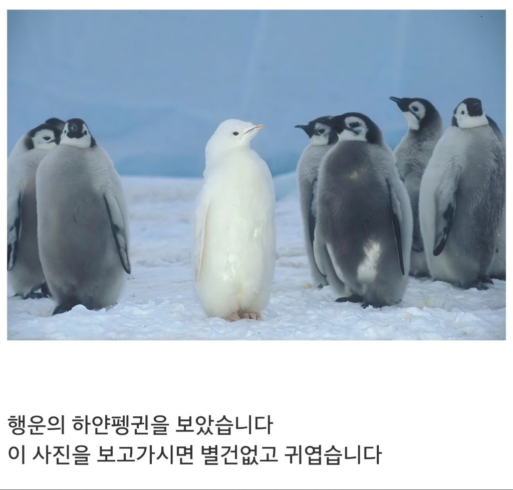 겨울의 다정함 | 인스티즈