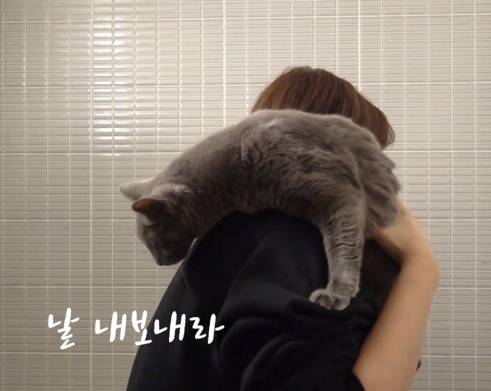 공감 이미지