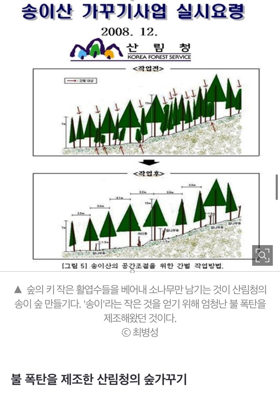 산불 발화지점 가보고 깜짝 놀랐다, 대형산불의 진짜 원인 [최병성 리포트] | 인스티즈