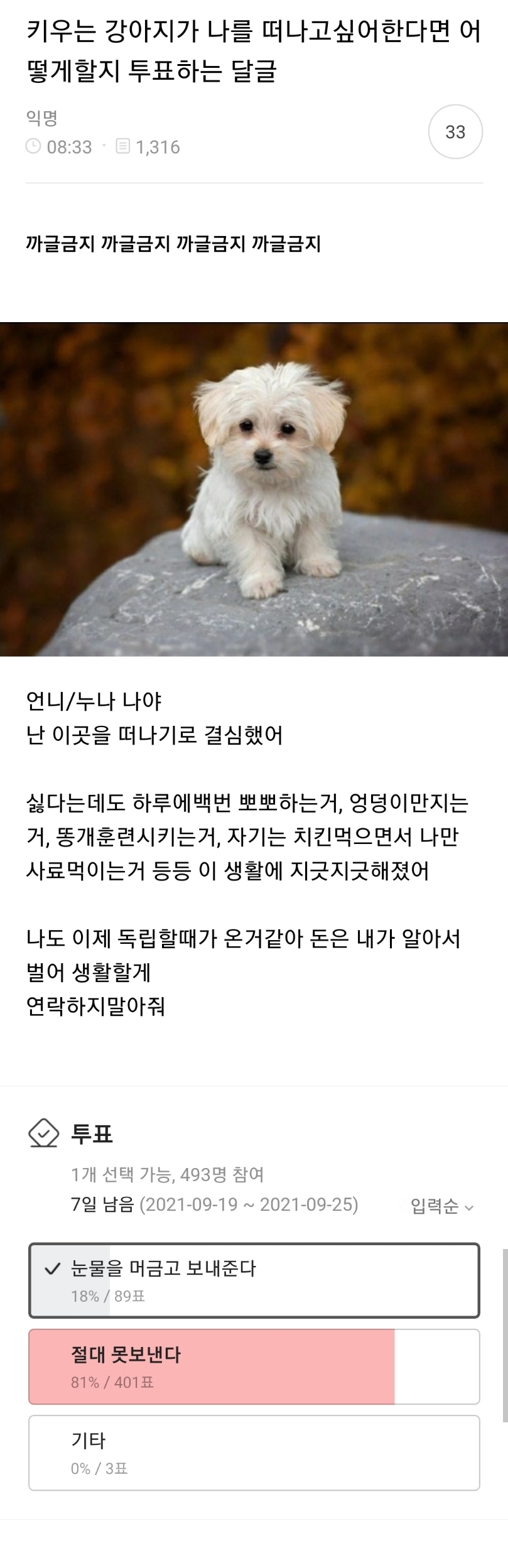 키우는 강아지가 나를 떠나고싶어한다면 어떻게할지 투표하는 달글 캡쳐.jpg | 인스티즈