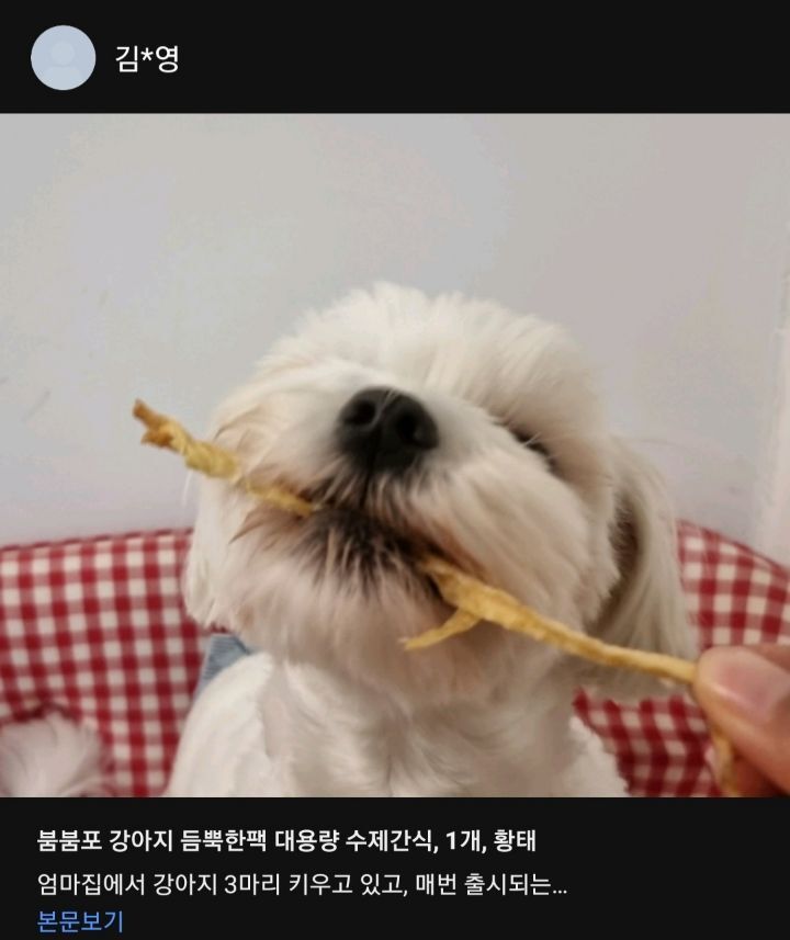강아지 황태 리뷰인데 개 귀엽 | 인스티즈