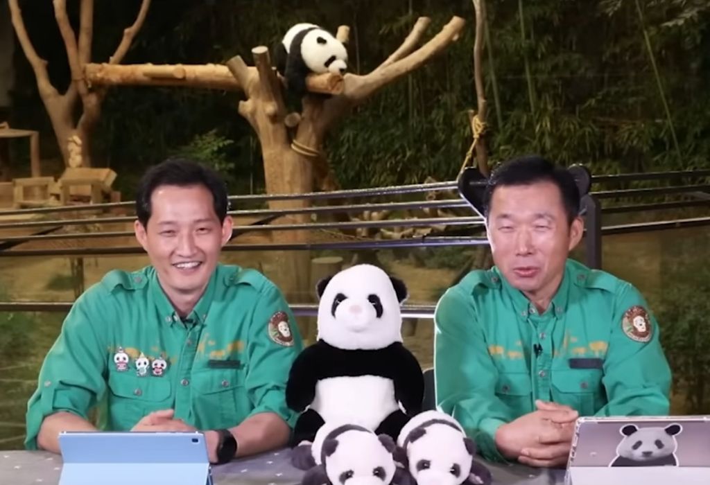 판다월드 반장선거에 나간 루이바오 🐼 | 인스티즈