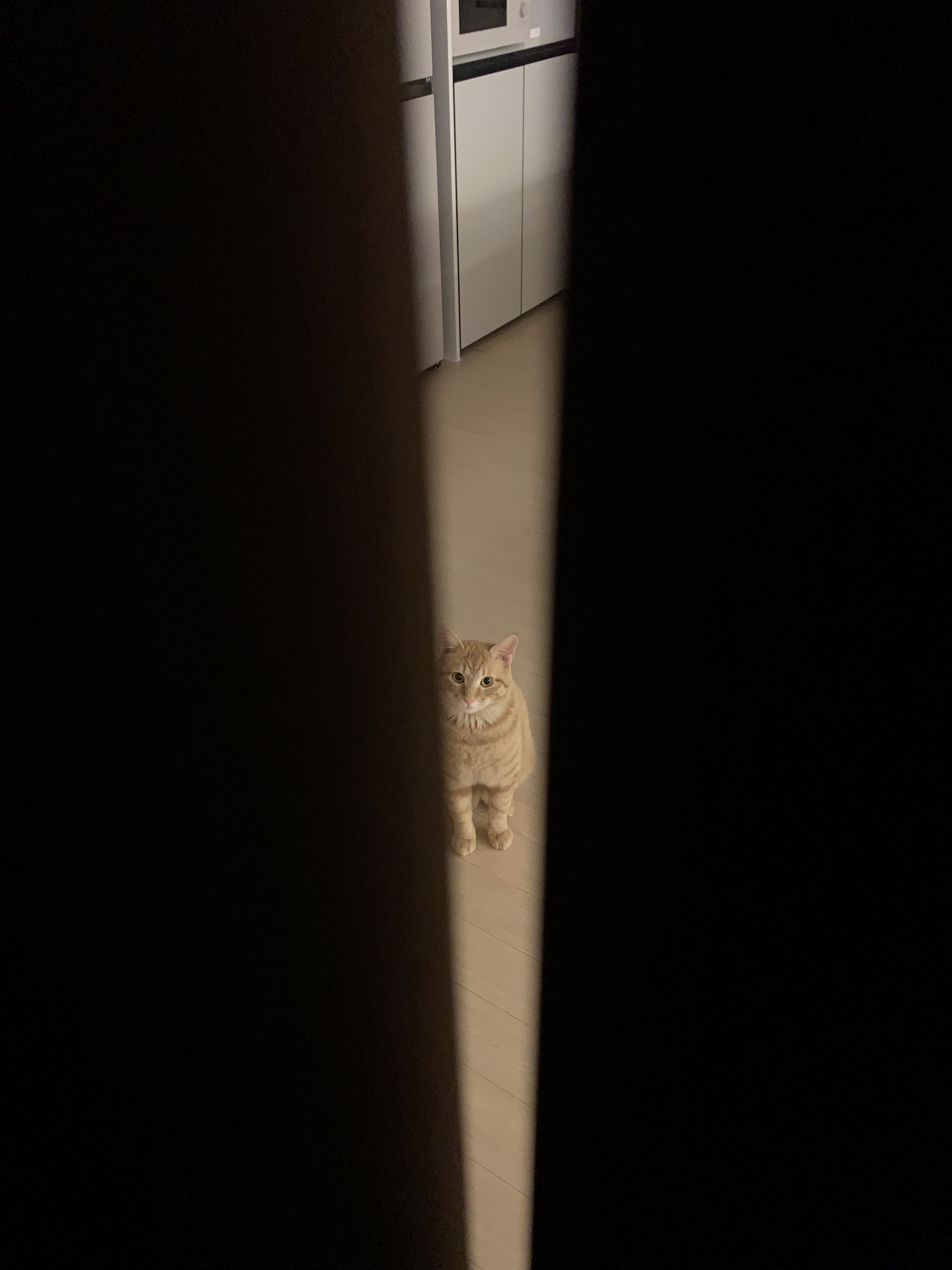 우리애기 어뜩하지;; | 인스티즈