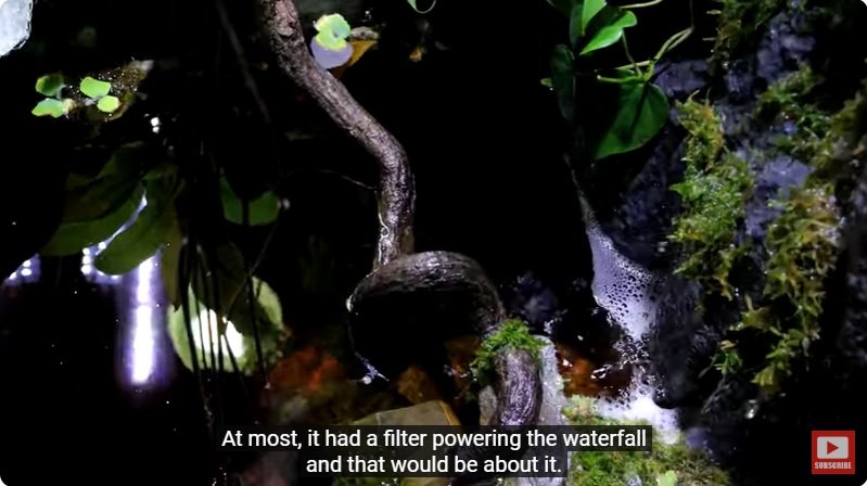 거대한 수조에 열대우림 환경을 조성해놓으면 생기는 일 - 4 | 인스티즈