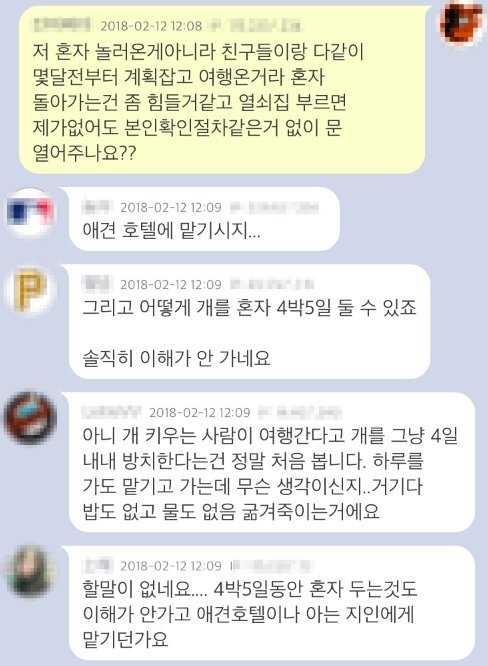 지금 여행왔는데 까먹고 집에 개밥을 안놔두고 왔습니다...ㅠㅜ | 인스티즈