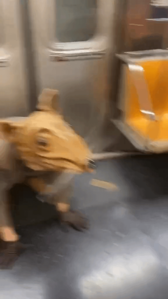 광란의 1호선도 한수 접고 갈 뉴욕 지하철 (놀람 주의) | 인스티즈