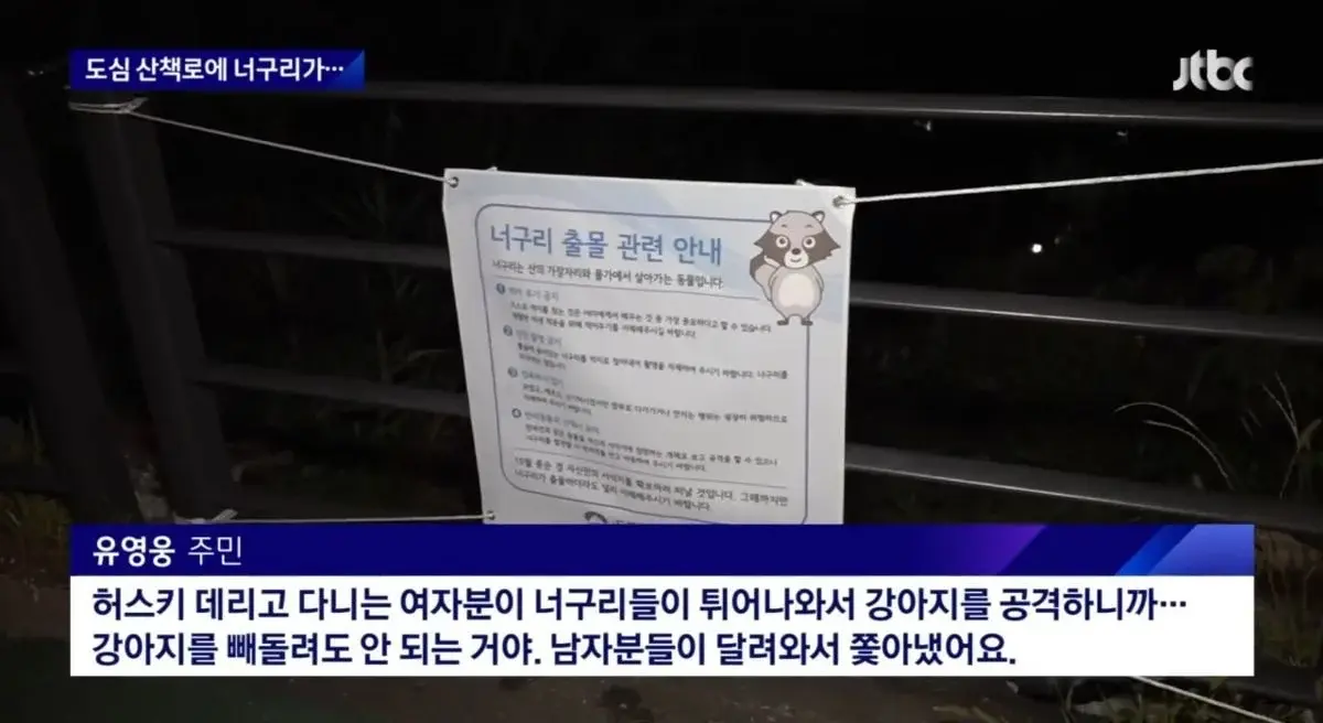 산책로에서 너구리를 만나면 강아지를 바로 안아들어야함 | 인스티즈