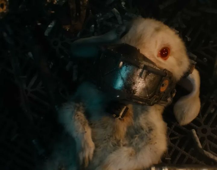 가오갤3에서 눈물버튼이라는 얘기 많은 캐릭터.jpg (강강강스포) | 인스티즈