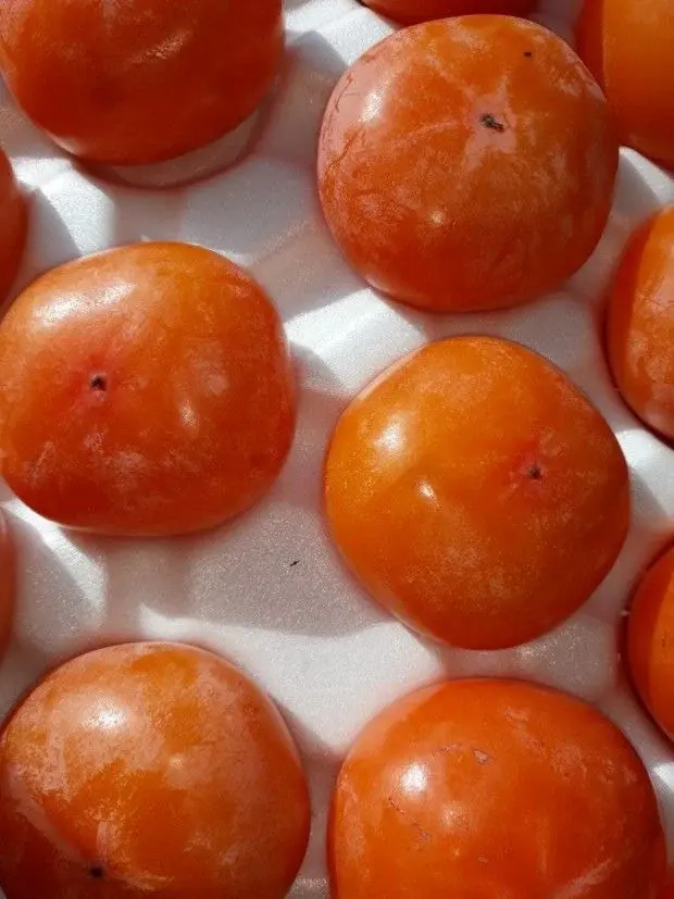 홍시 연시 좋아하는 사람들 특징.jpg | 인스티즈