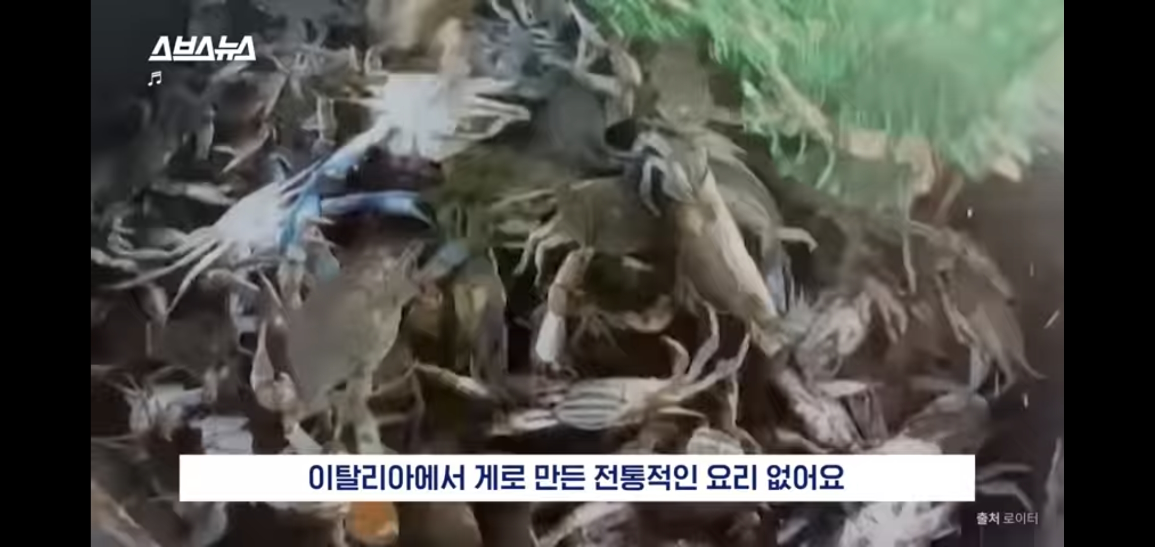 꽃게나라 이미지