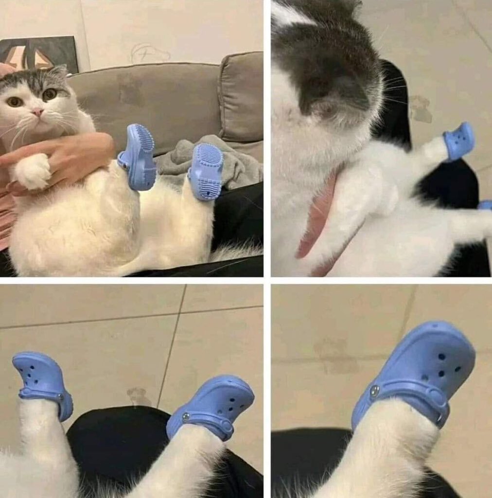 크록스 좋아하는 사람 특 | 인스티즈