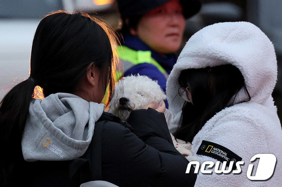 올해도 기대되는 '수능 강아지' 모음 | 인스티즈