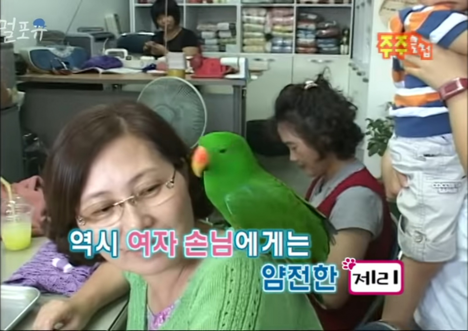 남자는 싫어하는 앵무새 제리.jpg | 인스티즈