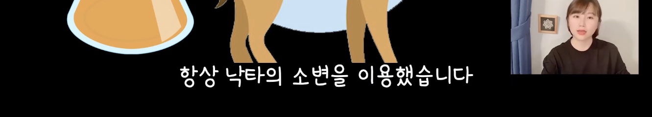 이상한 나라의 앨리스, 모자장수가 미친 이유는? | 인스티즈